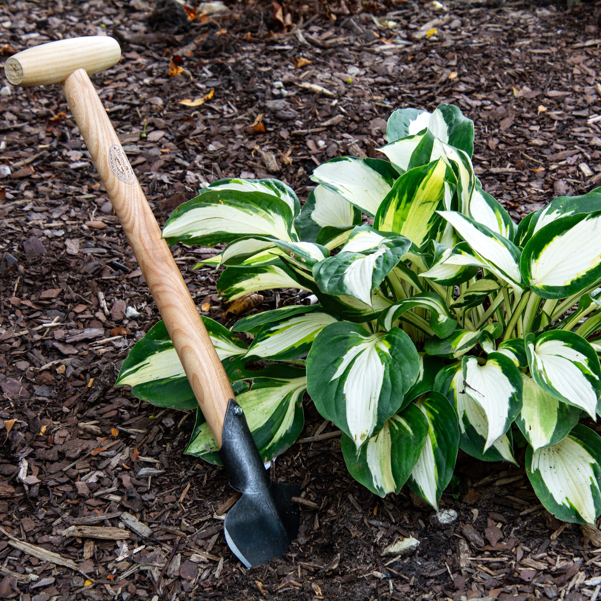 DeWit® Perennial Planter