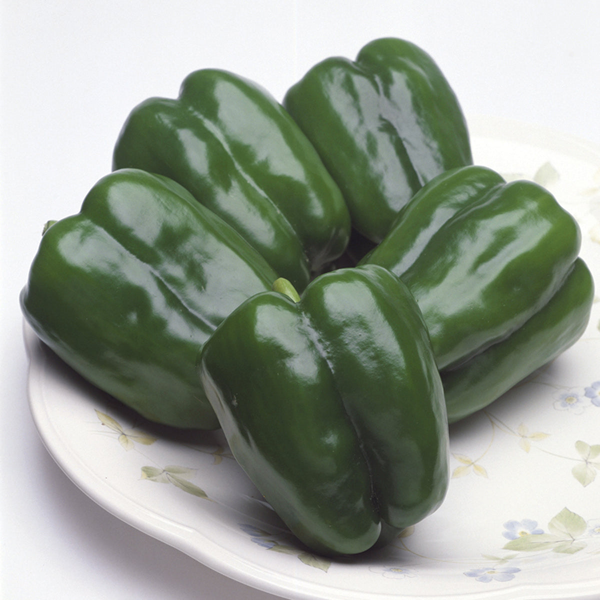 Pepper, Sweet, New Ace Hybrid