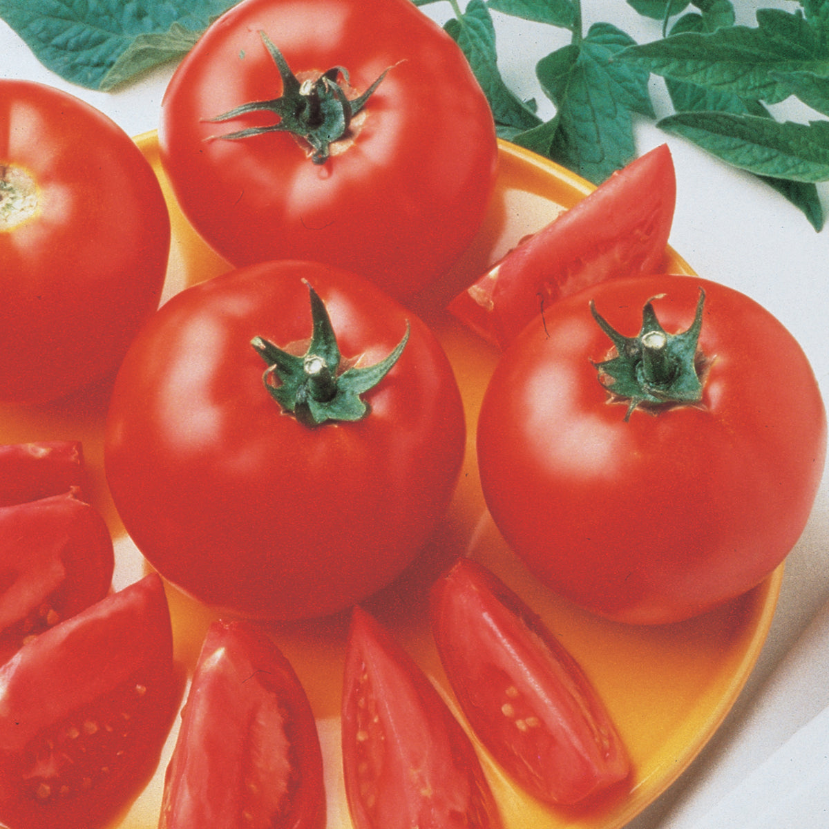 Tomato, Bush Early Girl Hybrid