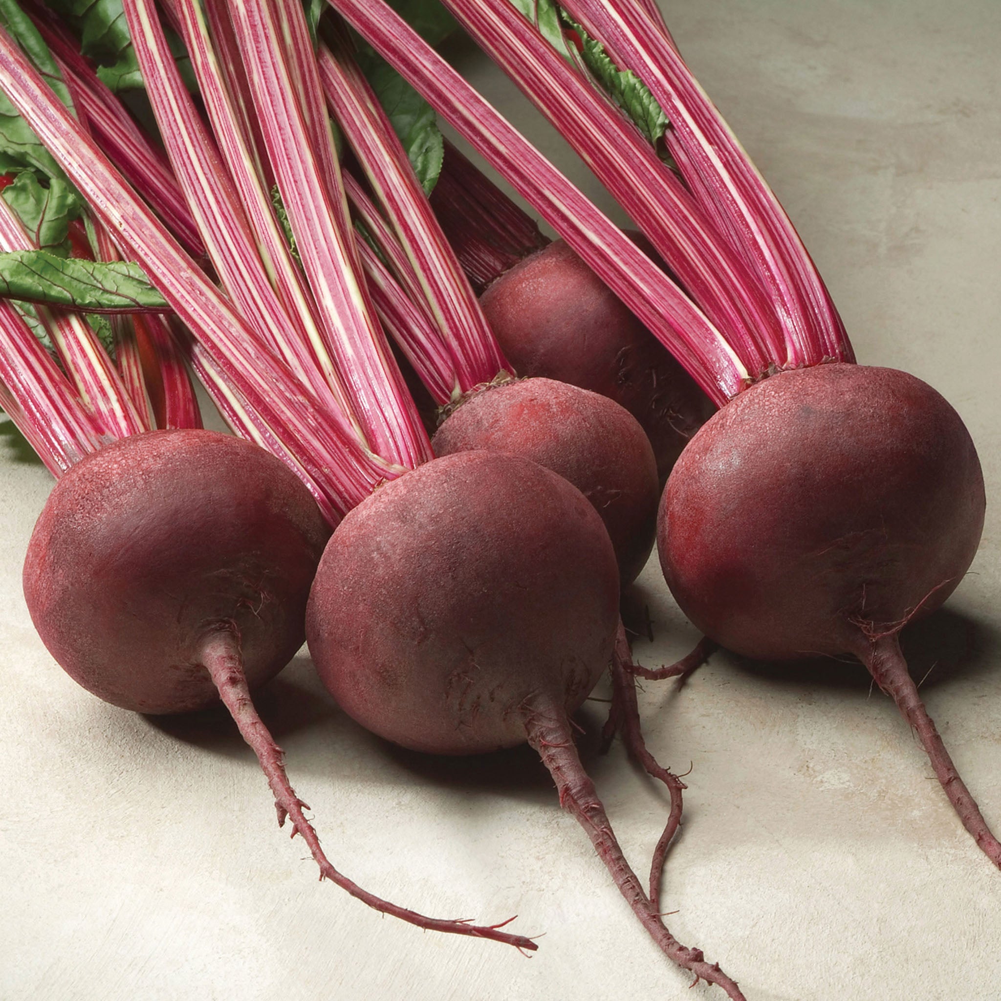 Beet, Red Ace Hybrid
