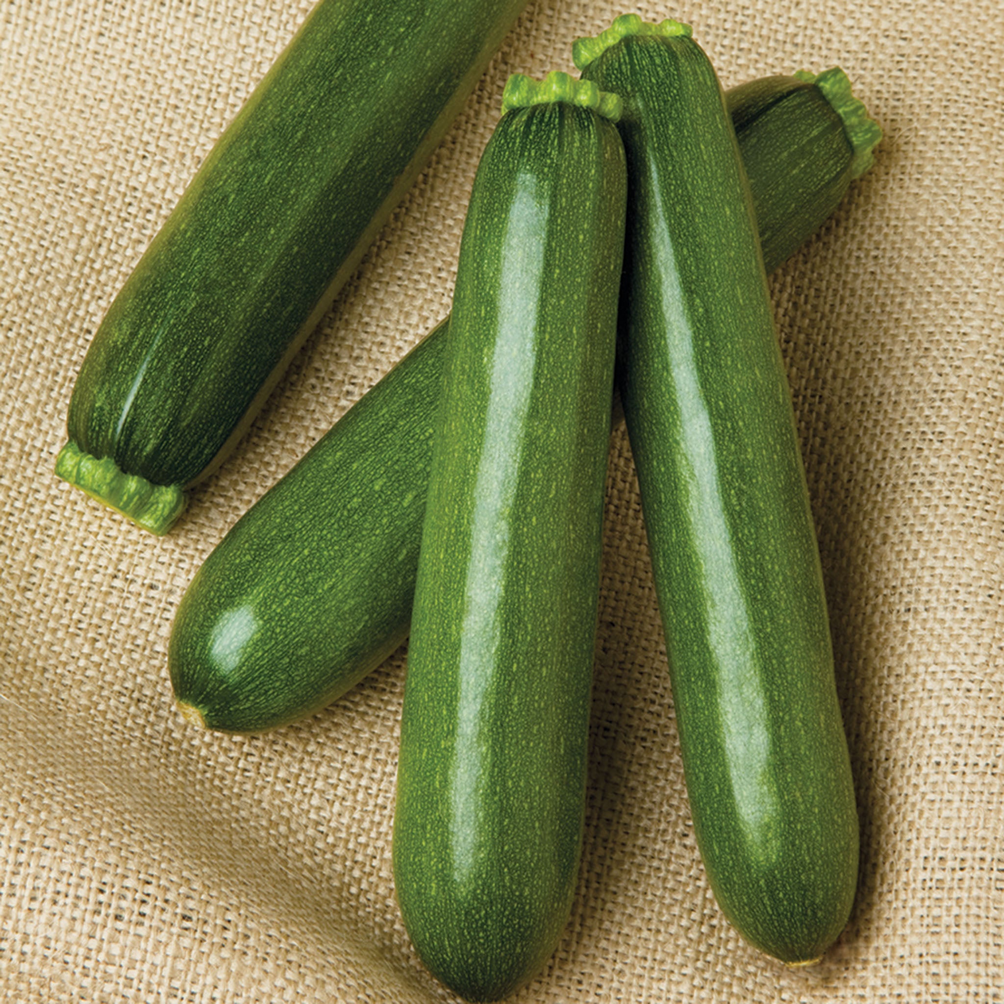 Squash, Summer, Payload Hybrid