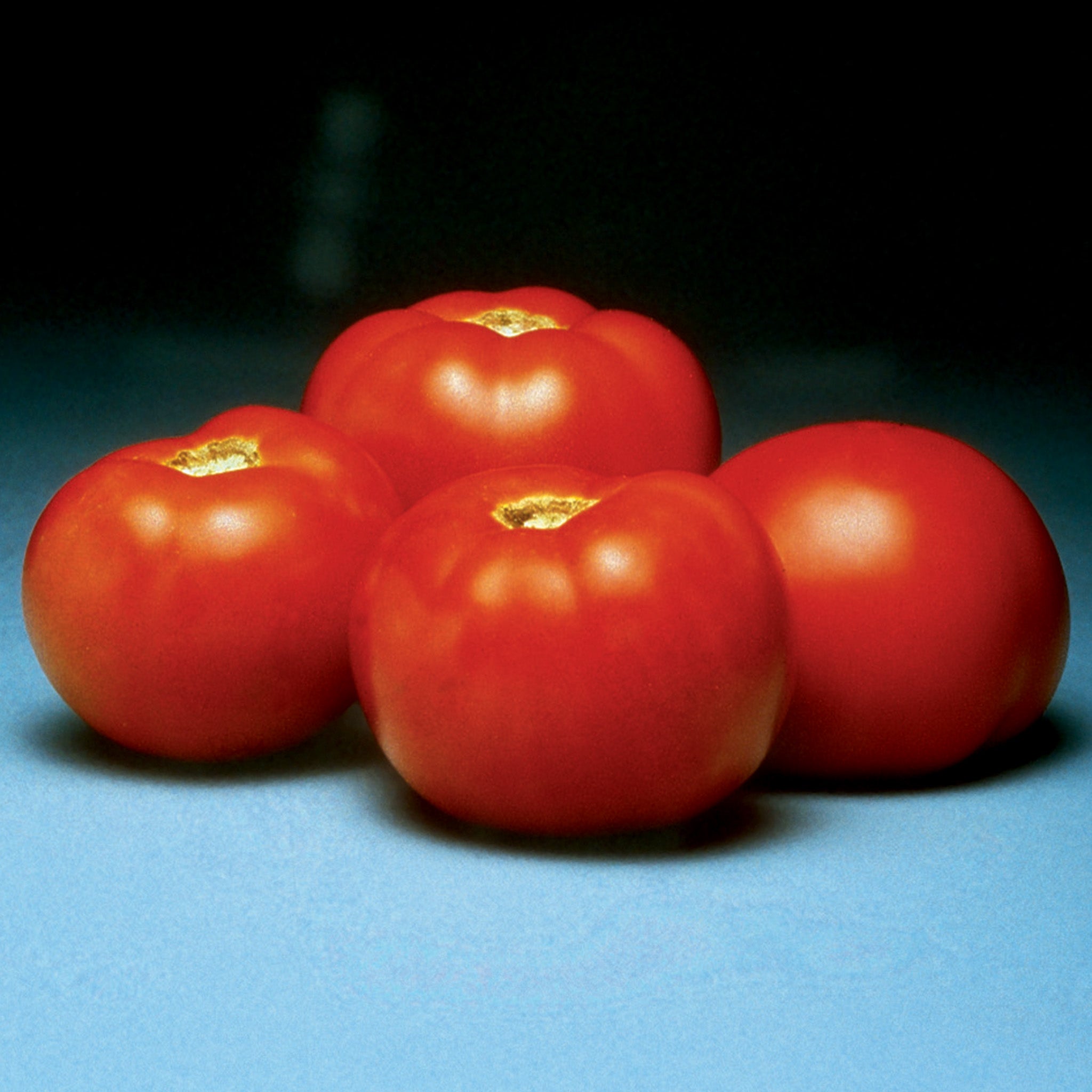 Tomato, Better Bush Hybrid.