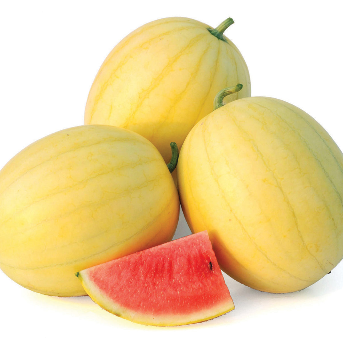 Watermelon, Faerie Hybrid