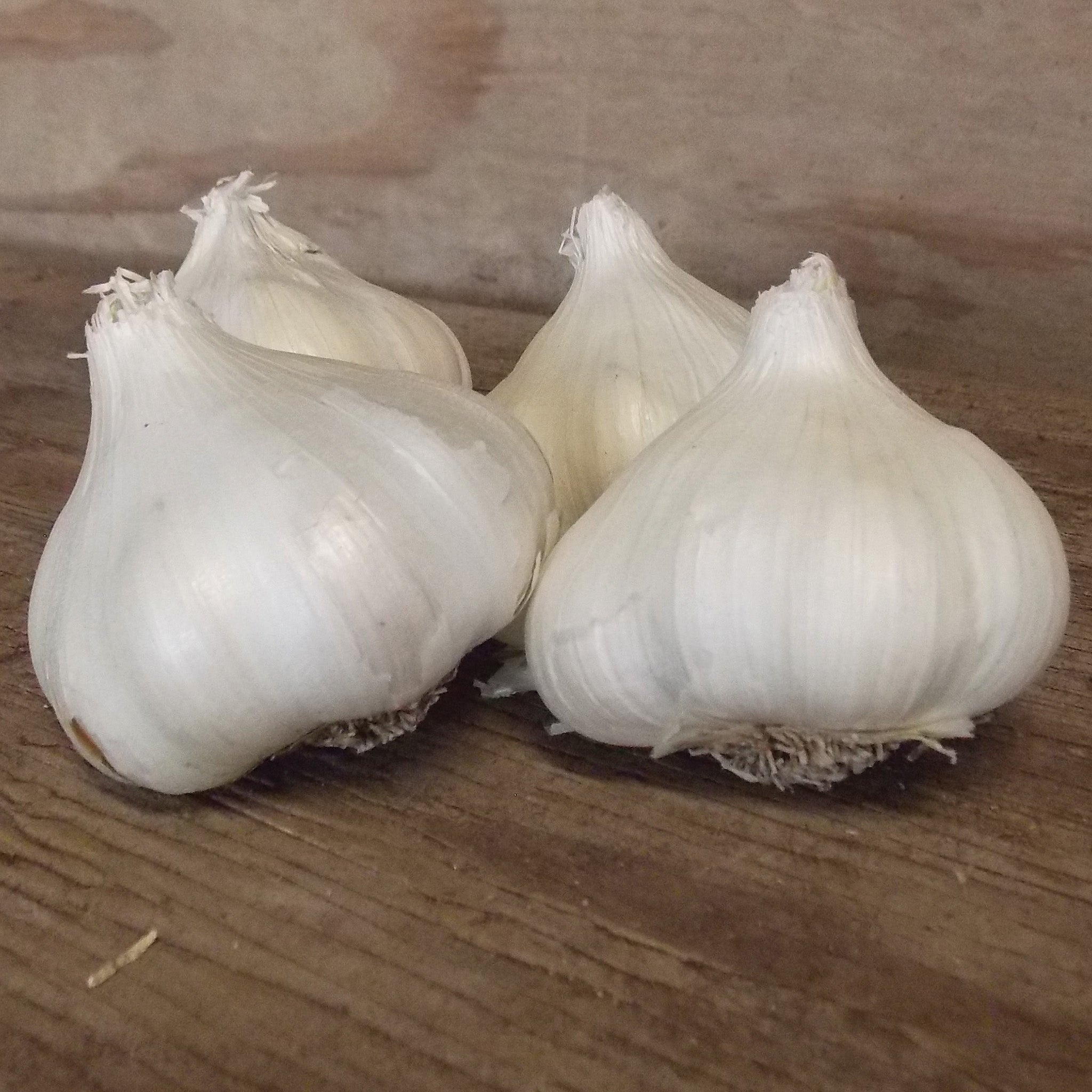 Garlic, California White, 1/2 Lb