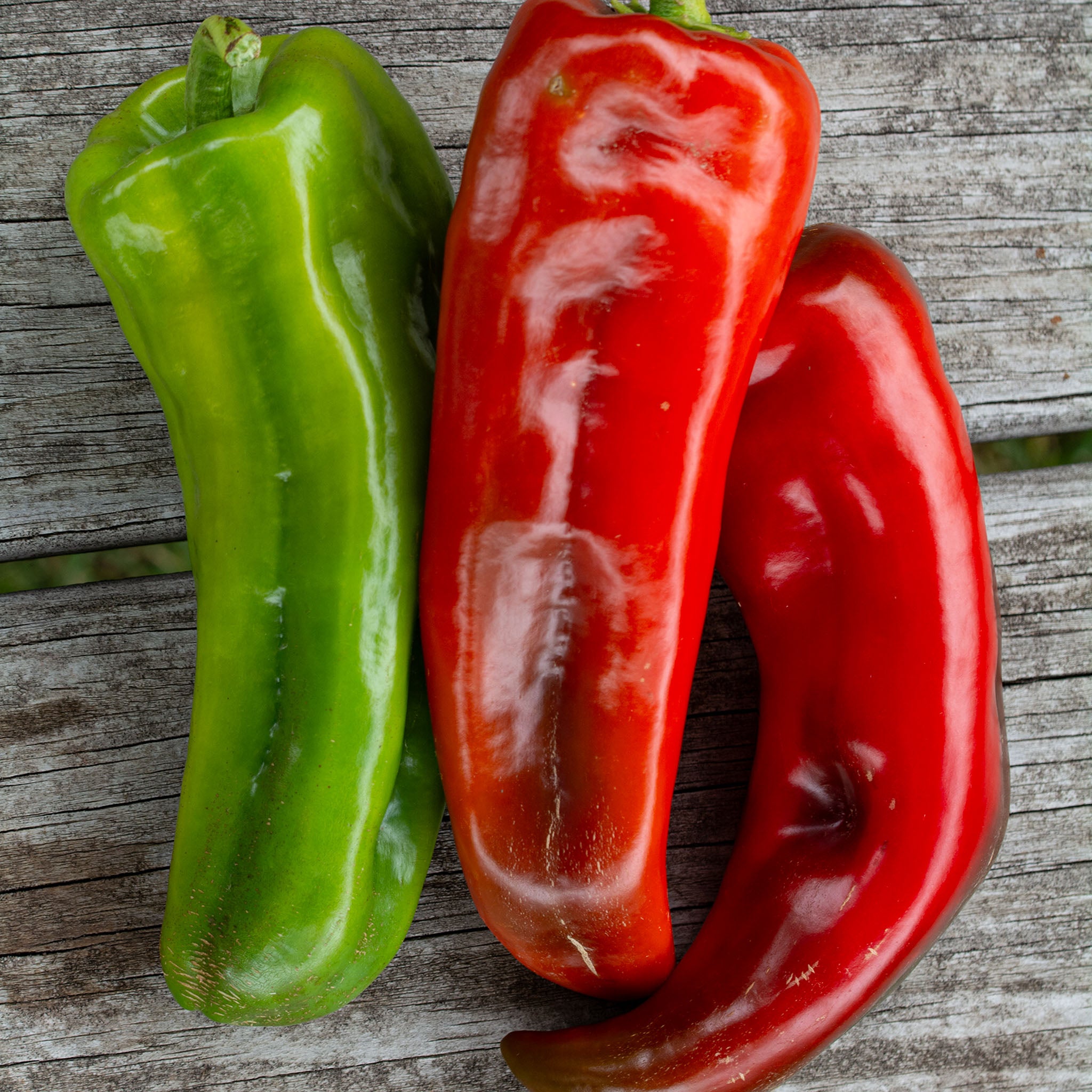 Pepper, Sweet, Giant Marconi Hybrid