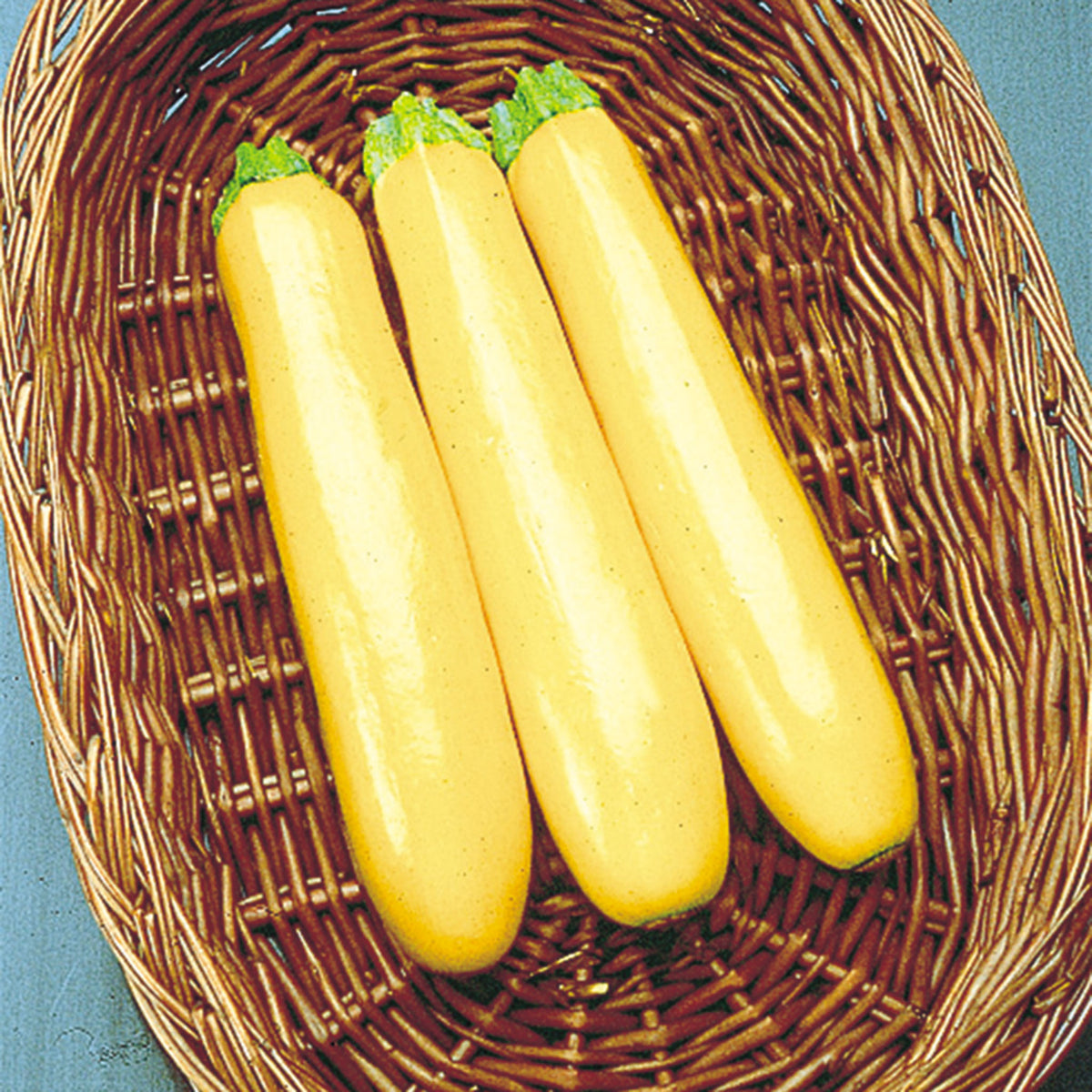 Squash, Summer, Gold Rush Hybrid