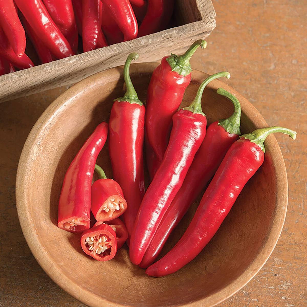 Pepper, Hot, Red Ember Hybrid