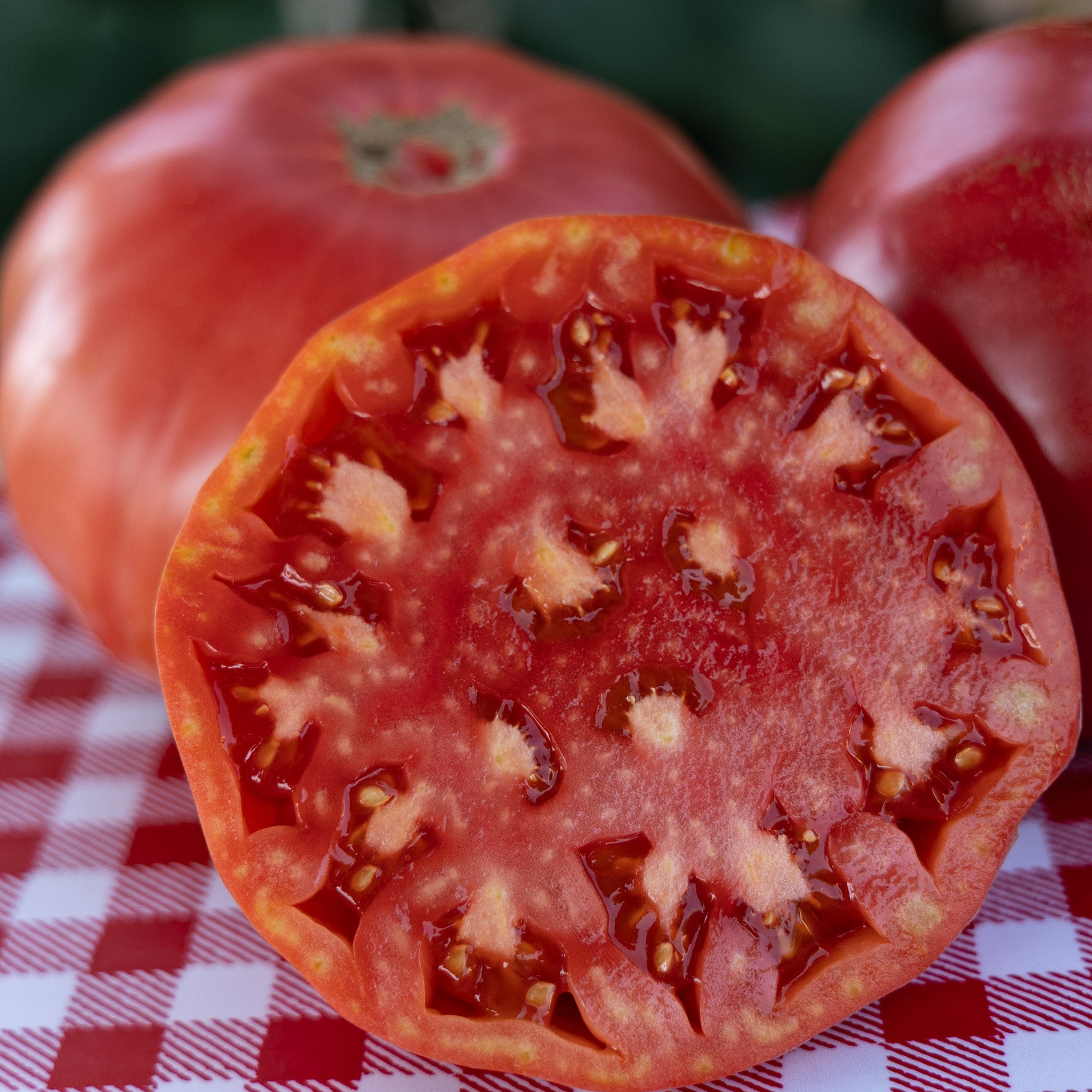 Tomato, Chef's Choice Pink Hybrid