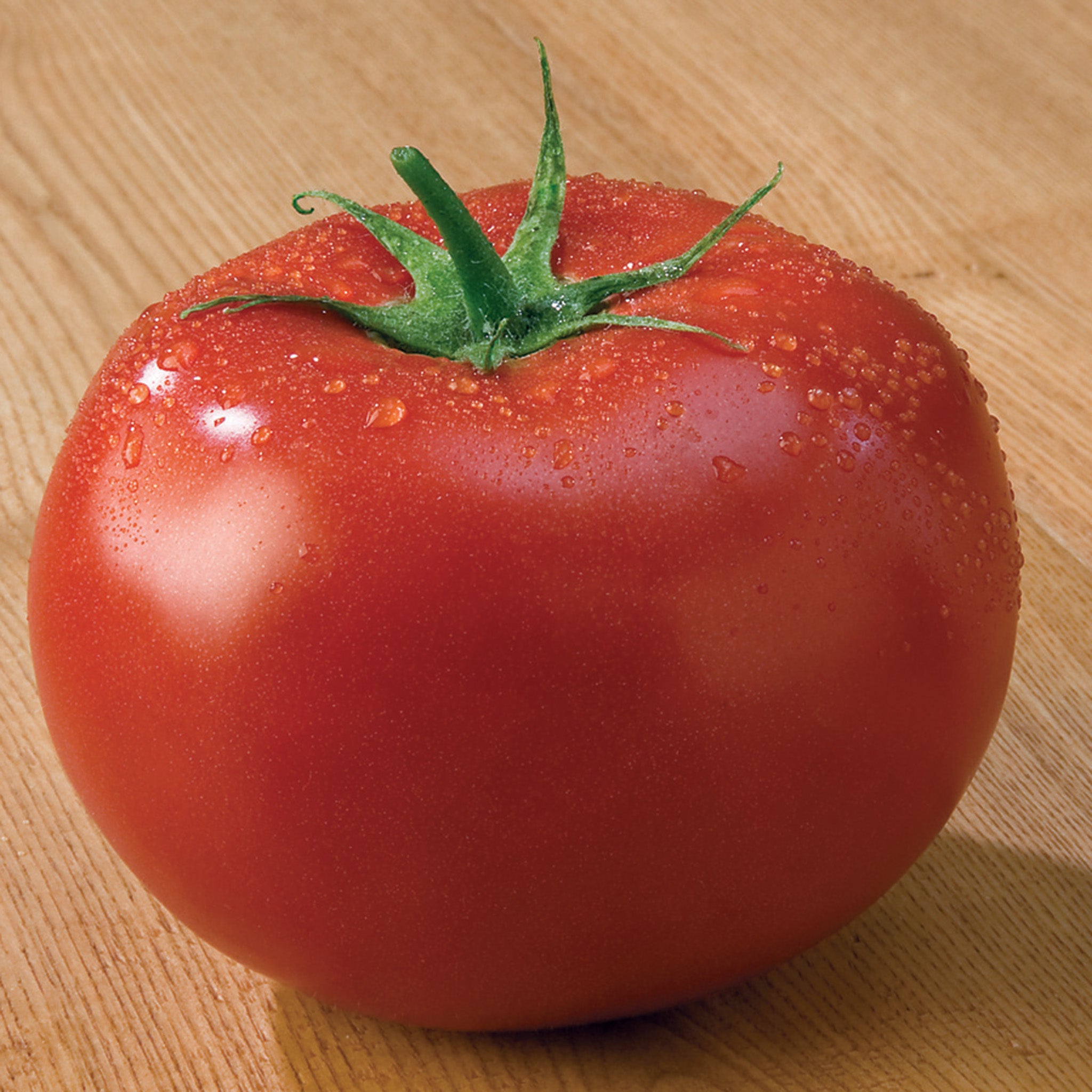 Tomato, Tasti-Lee Hybrid