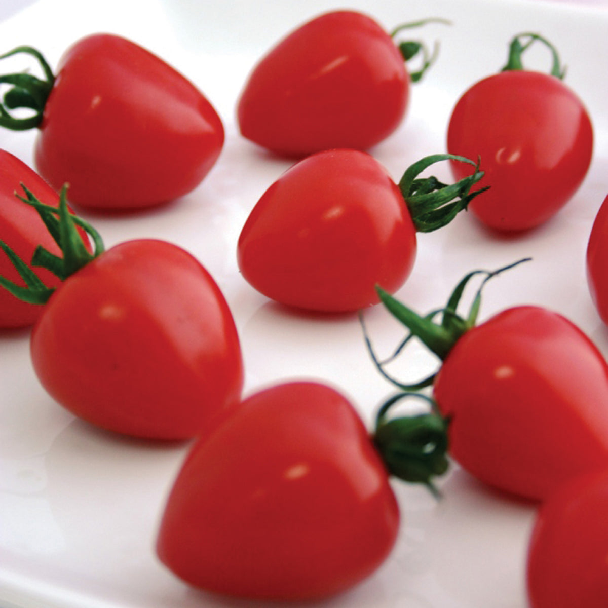 Tomato, Tomatoberry Garden Hybrid