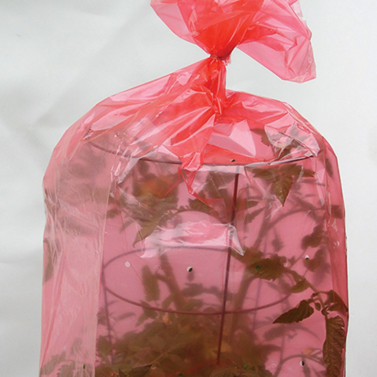 Red Tomato Greenhouse Bag 28 Inch x 20 Ft