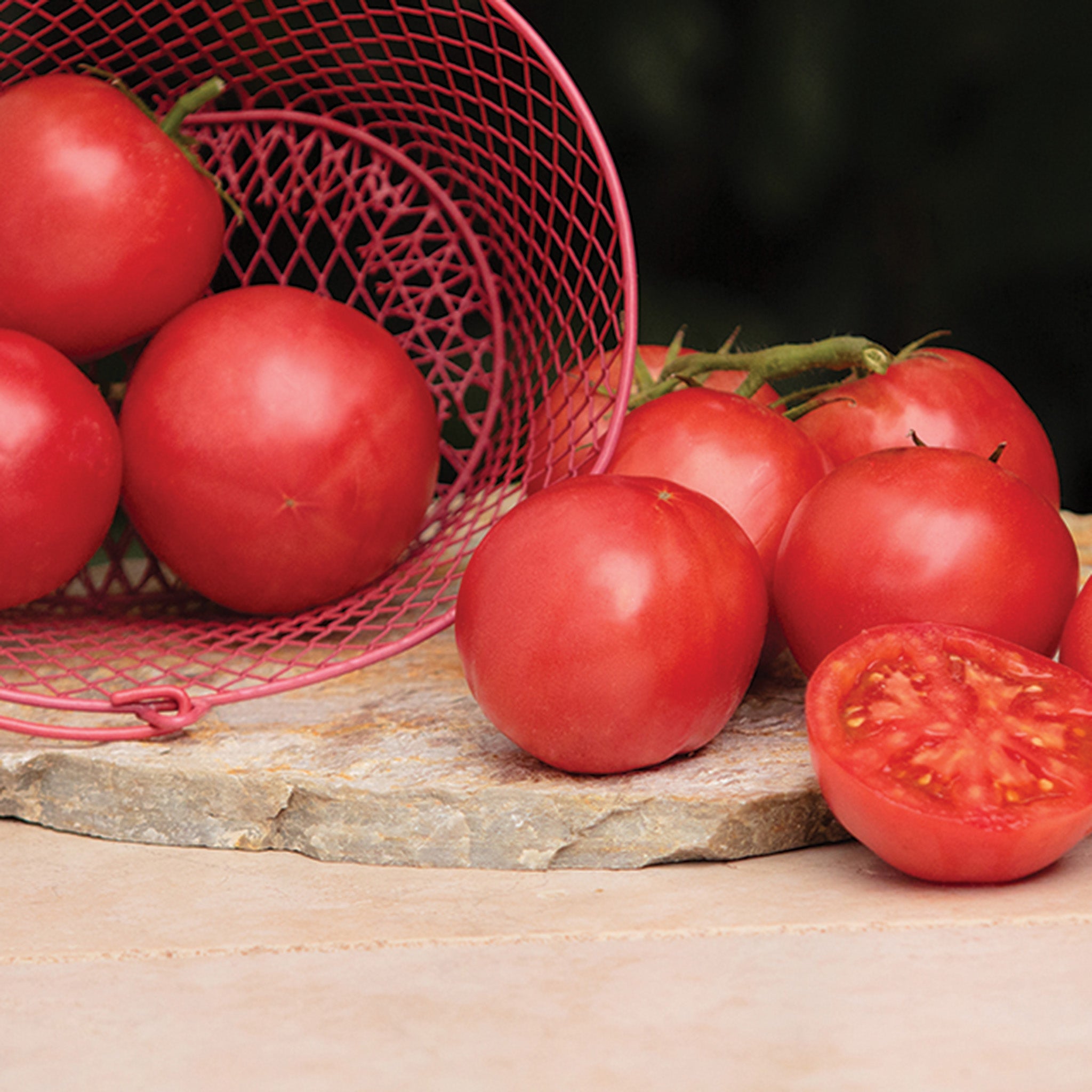 Tomato, Pink-A-Licious Hybrid