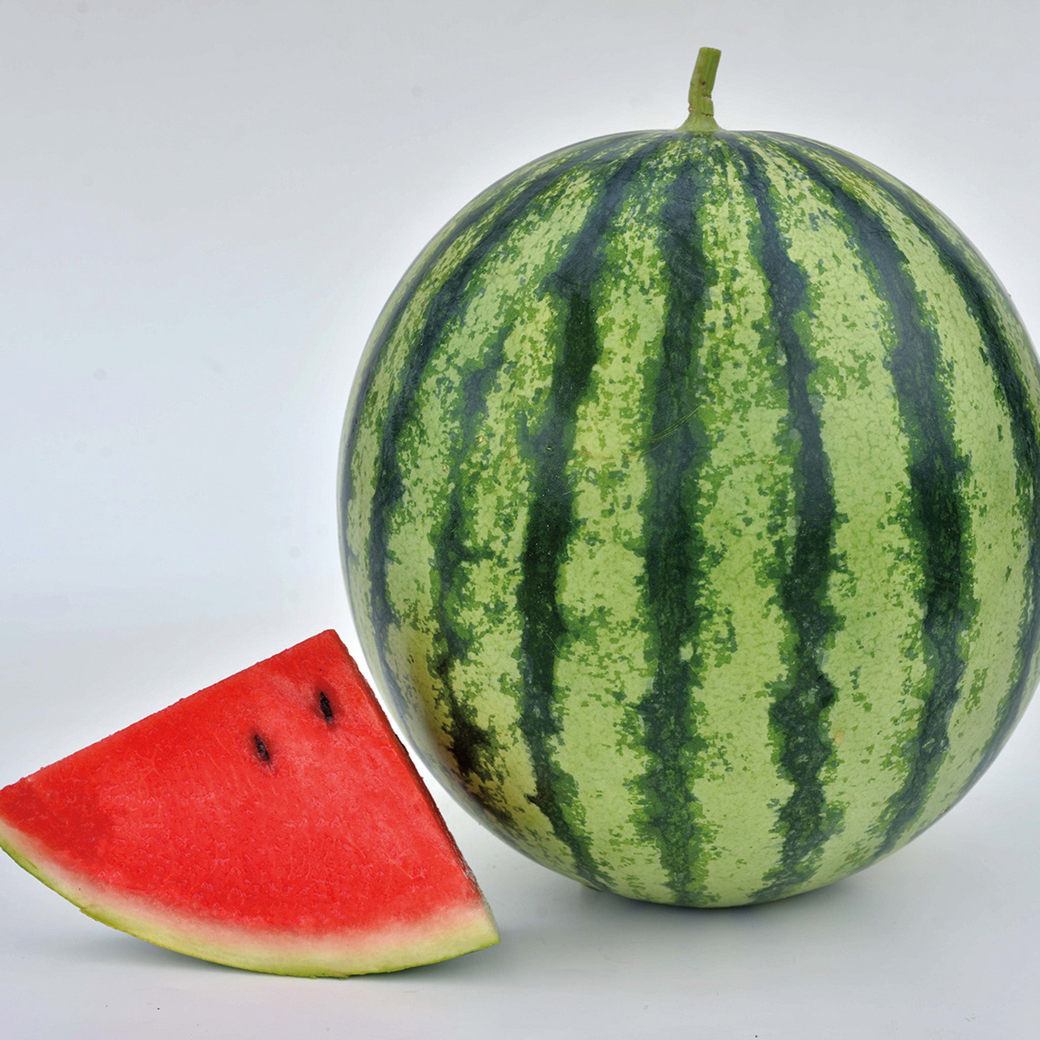 Watermelon, Mambo Hybrid