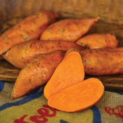 Sweet Potato, Covington