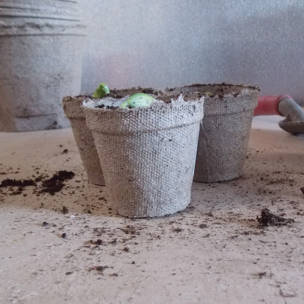 Jiffy® Peat Pots, 2 1/4 Inch Round
