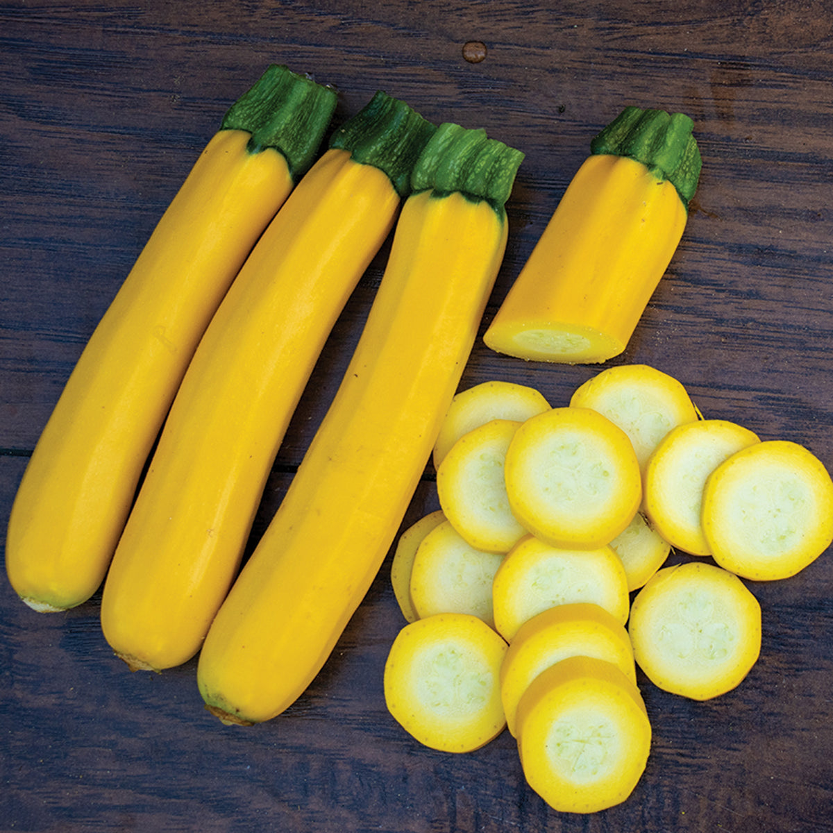 Squash, Summer, Max's Gold Hybrid