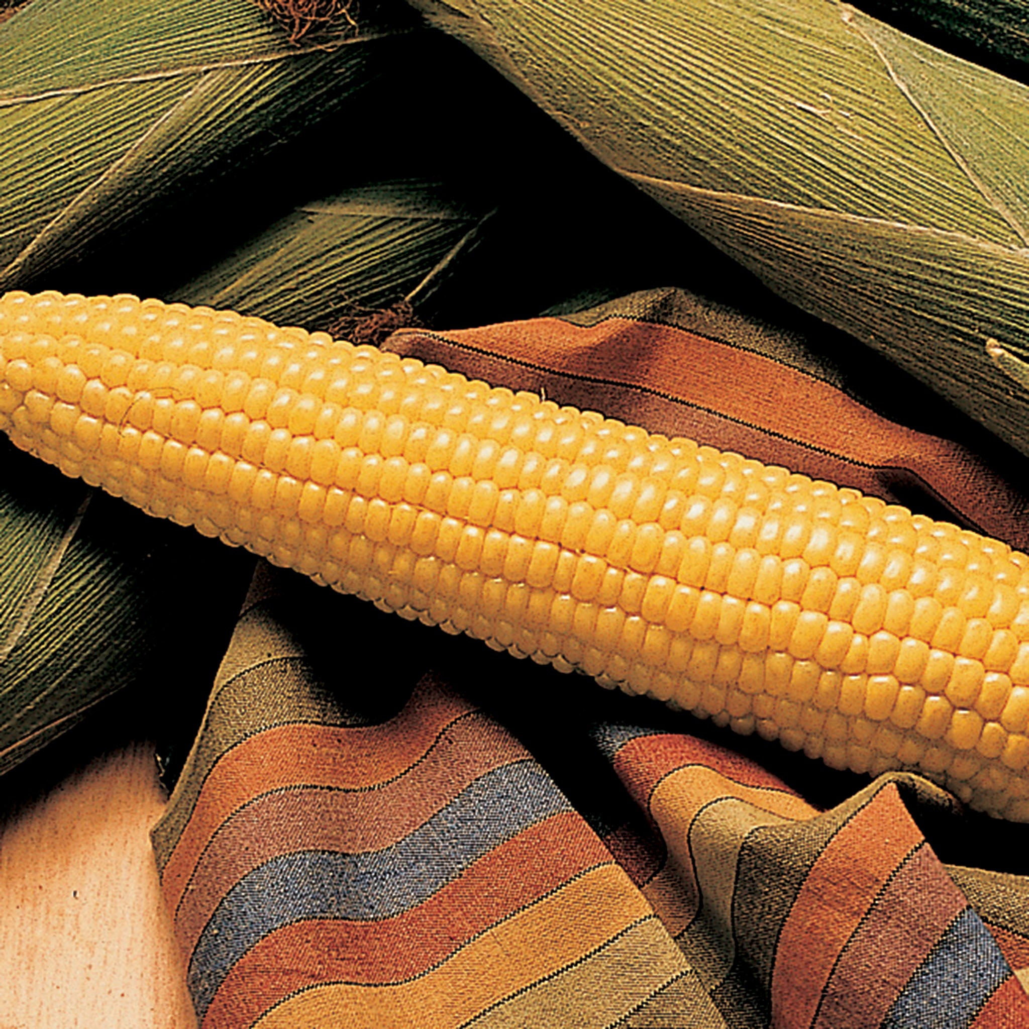 Sweet Corn, Honey Select Triplesweet Yellow Hybrid, Treated