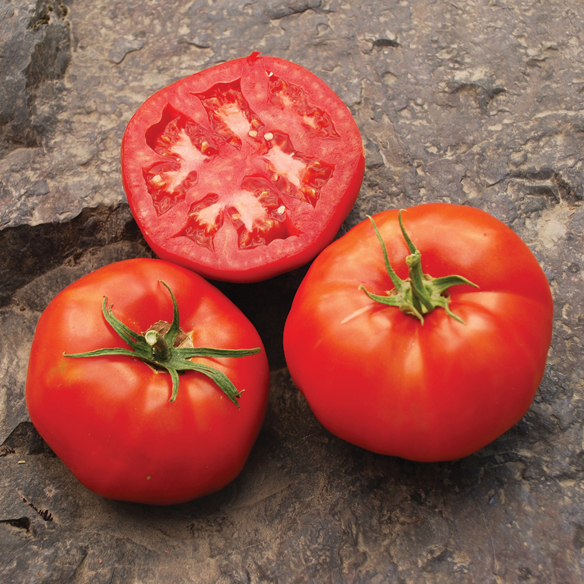 Tomato, Rutgers 250