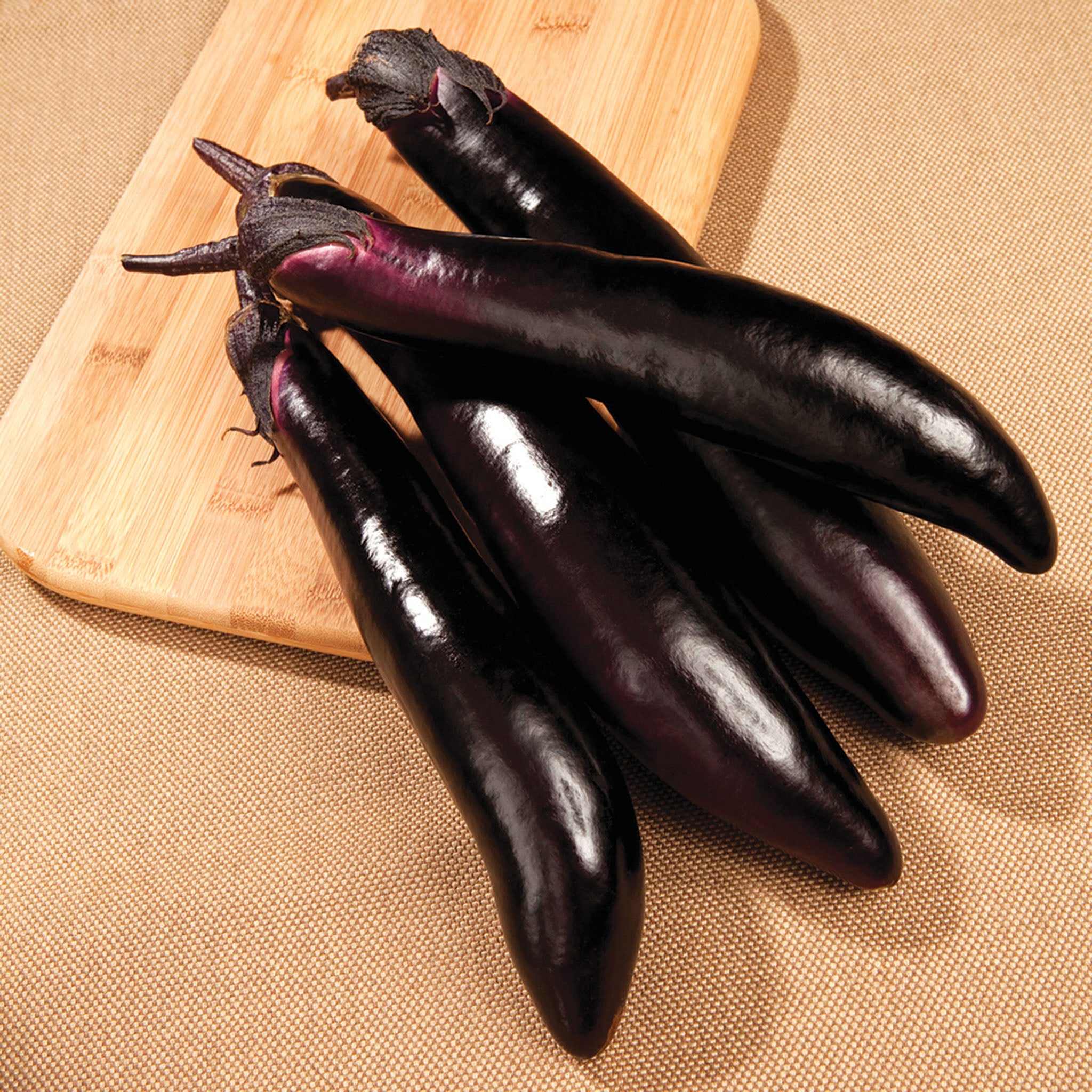Eggplant, Shikou Hybrid