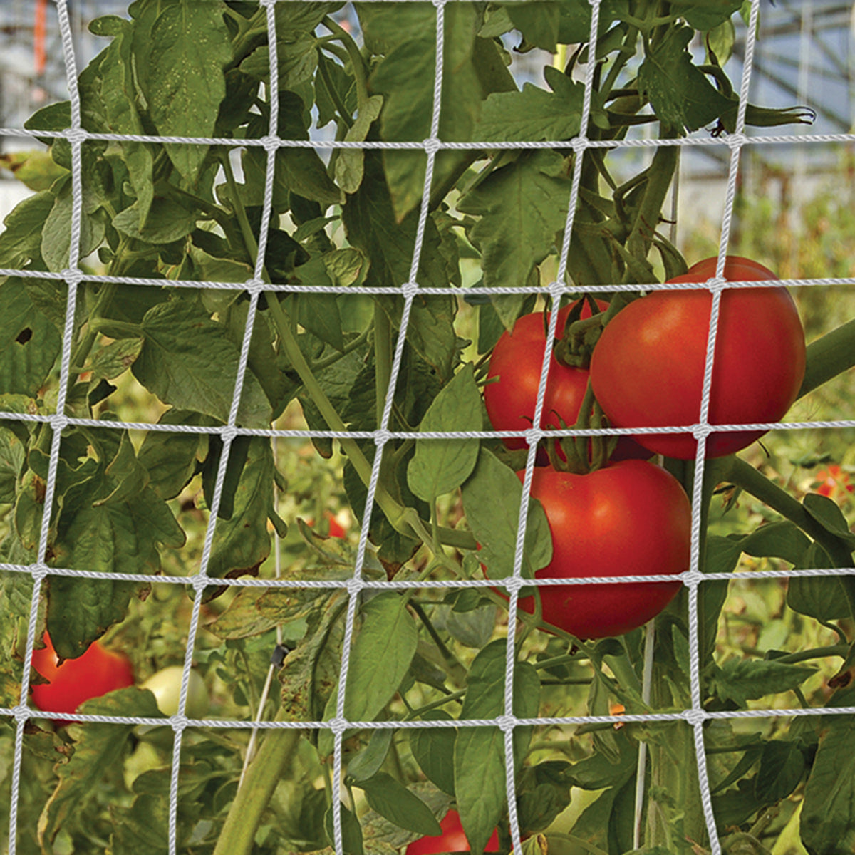 Luster Leaf® RapiClip® Trellis Netting, 5 Ft x 30 Ft