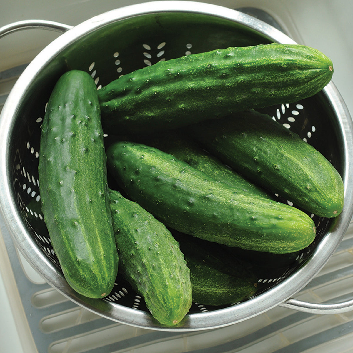 Cucumber, Patio Snacker Hybrid