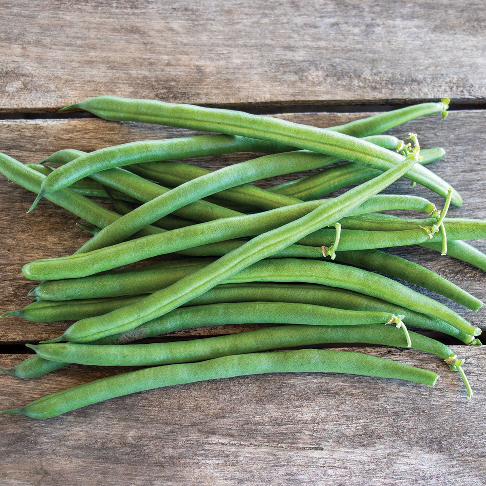 Bean, Bush, Jade.