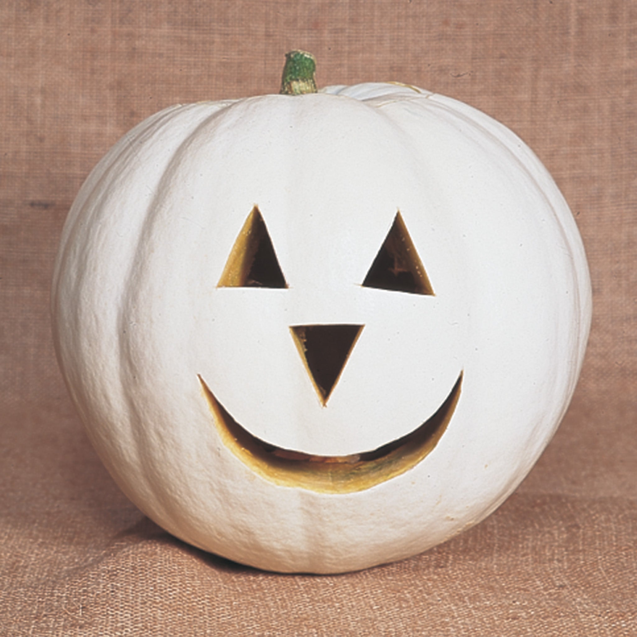 Pumpkin, Lumina