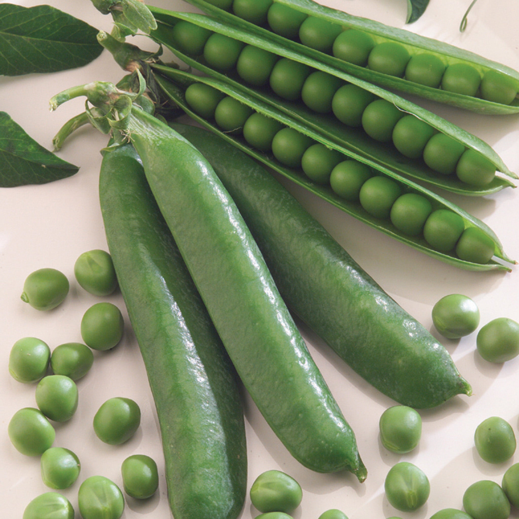Pea, Sabre.