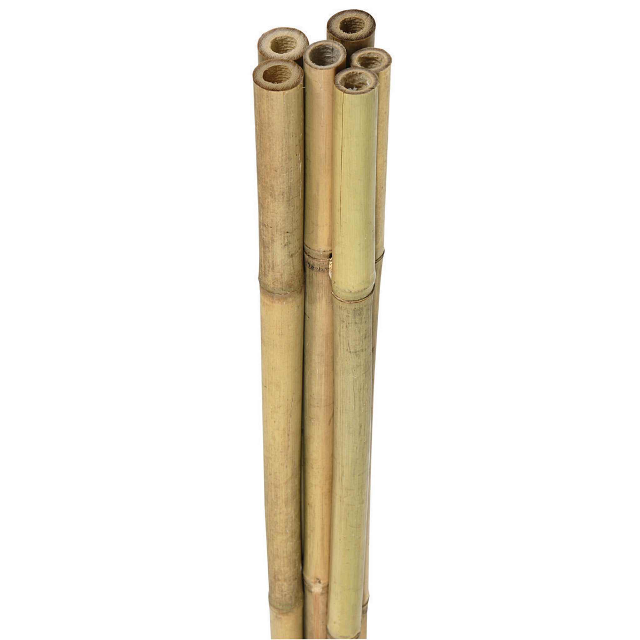 Bamboo Plant Supports, 6 Ft