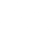 Roots And Rhizomes
