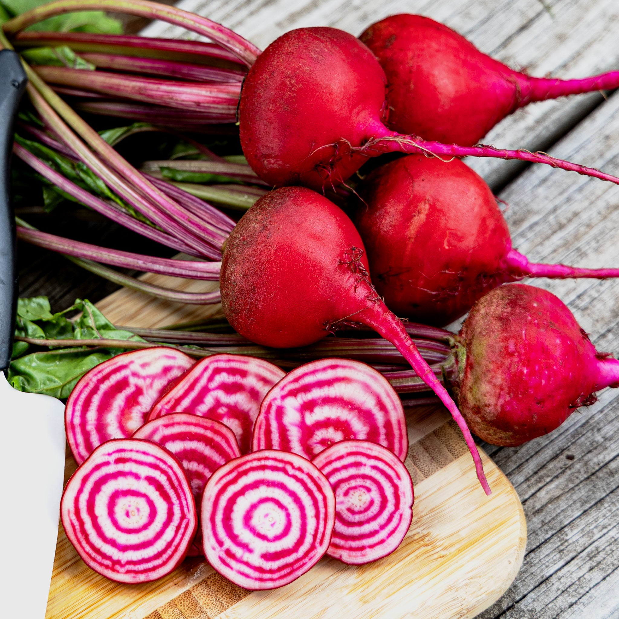 Beet, Chioggia