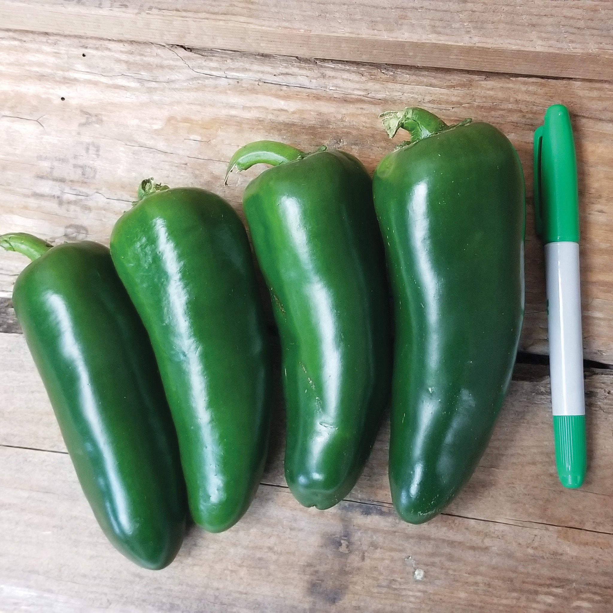 Pepper, Hot, Megatron Hybrid