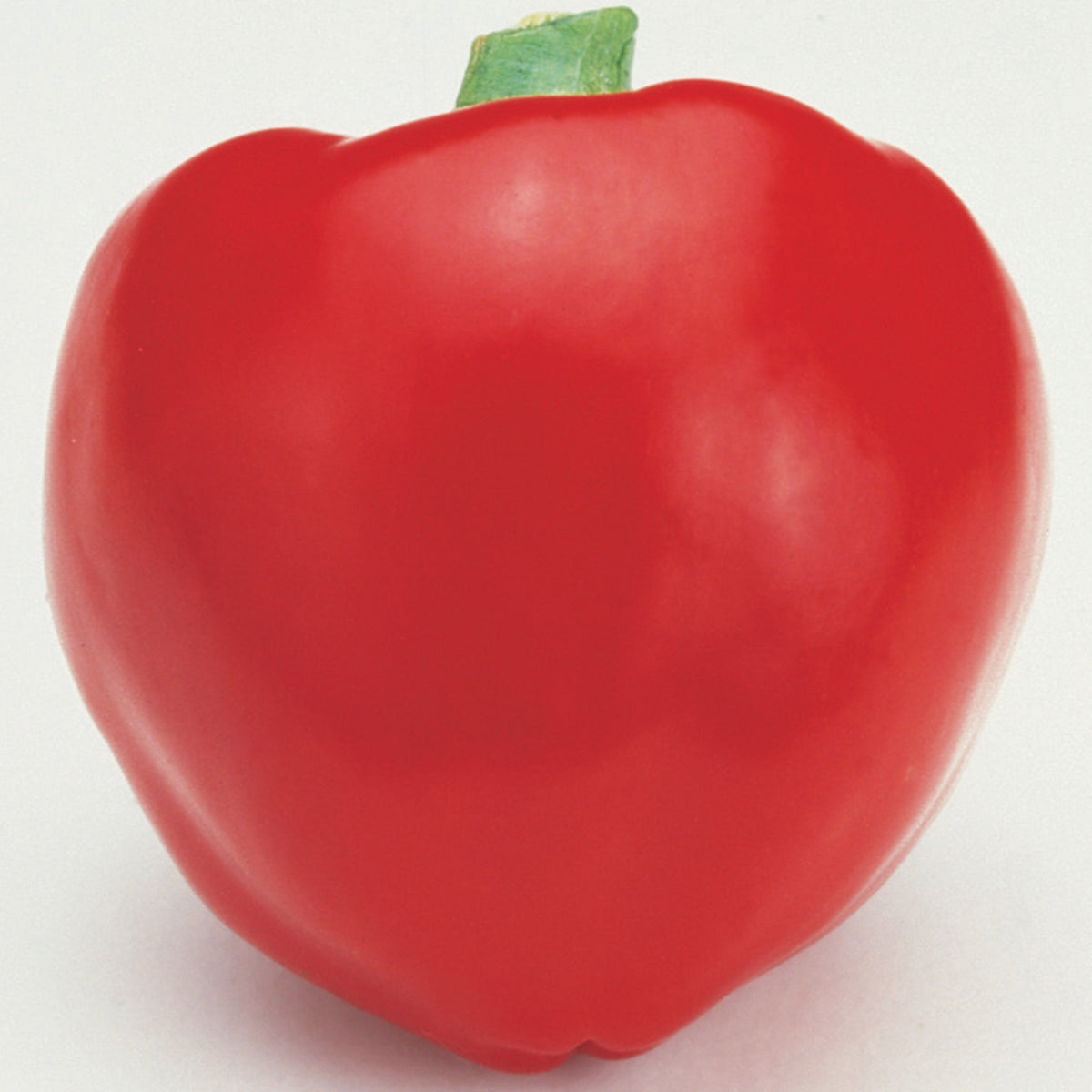 Pepper, Sweet, Pimento L