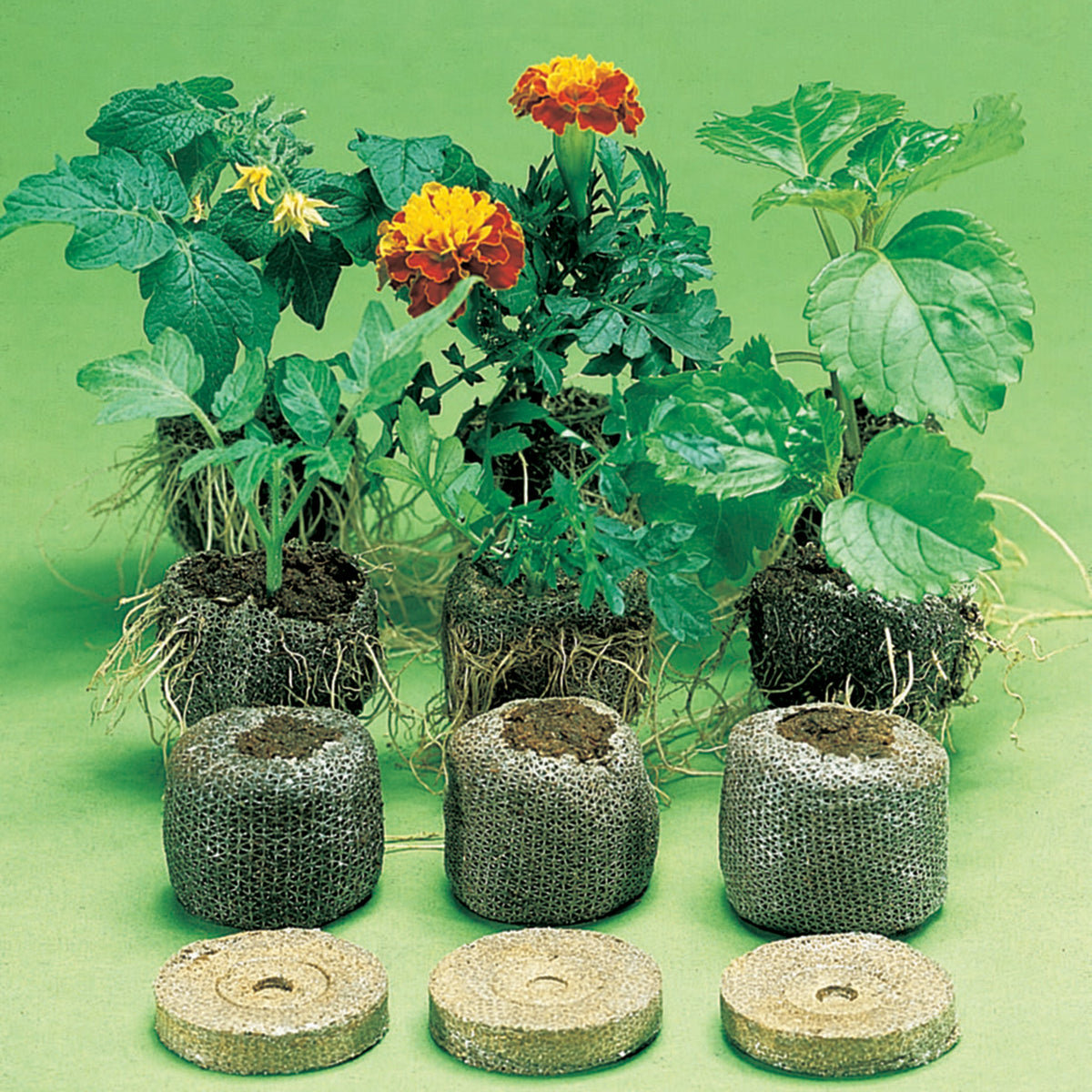 Jiffy-7® Plant Starters.