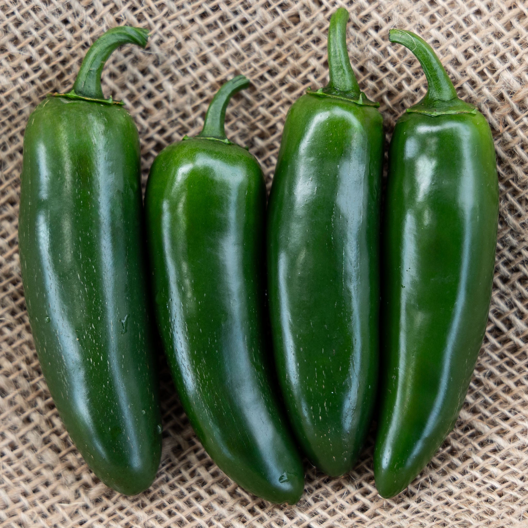 Pepper, Sweet, Nadapeno