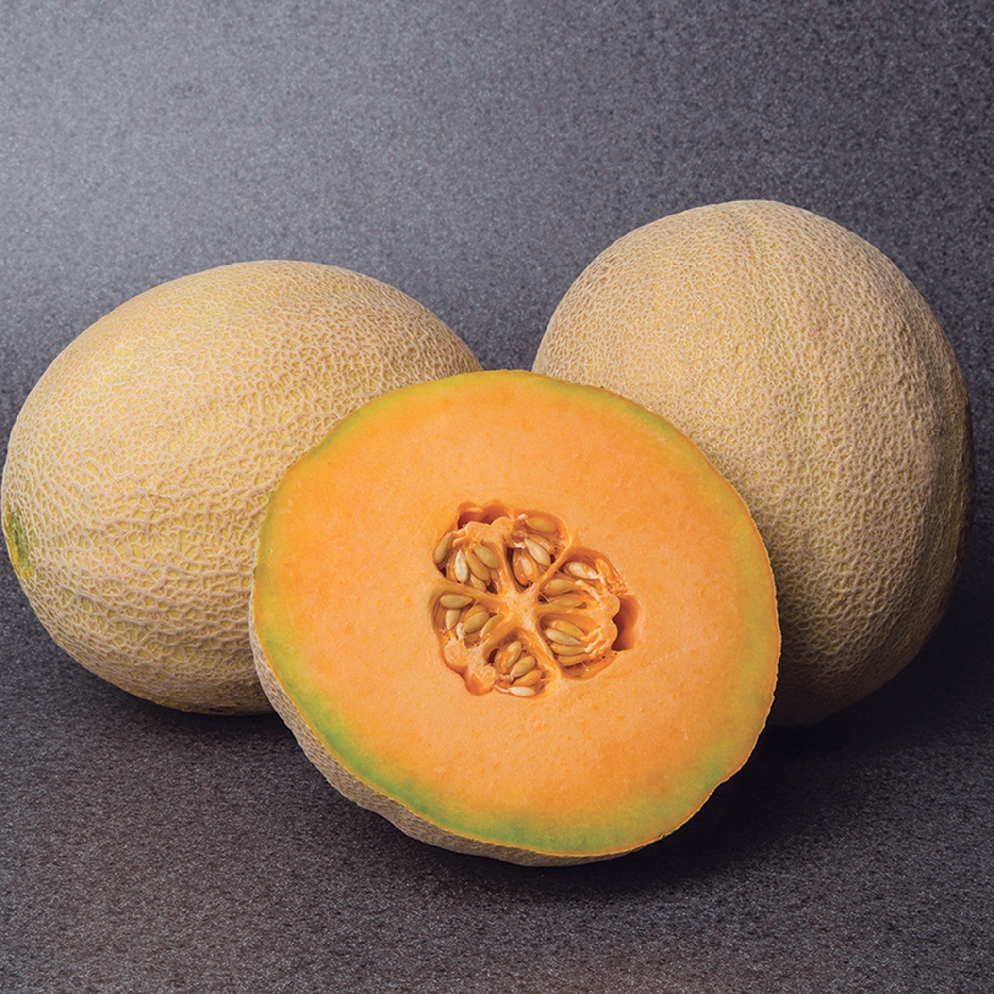 Melon, Accolade Hybrid.