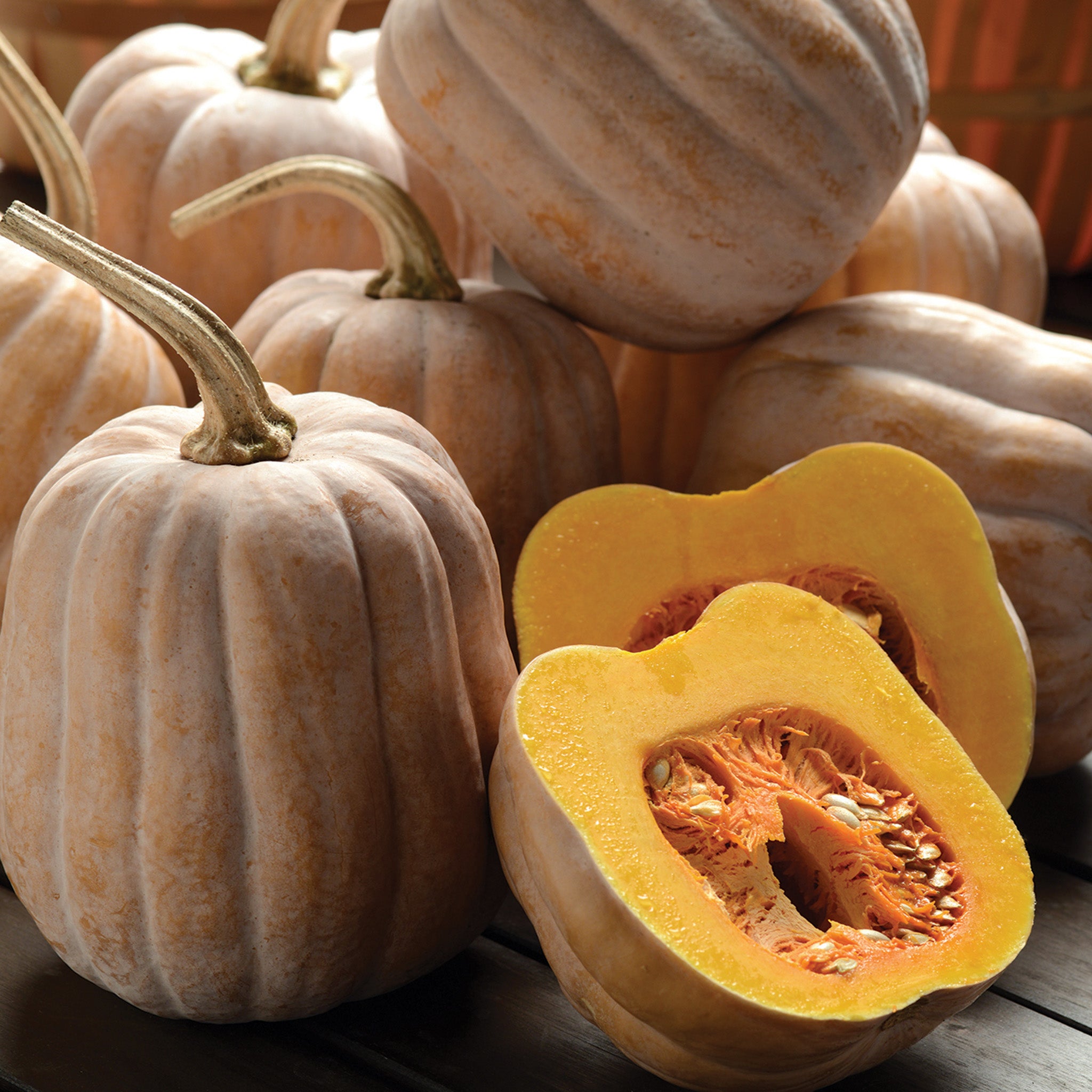 Squash, Winter, Autumn Frost Hybrid
