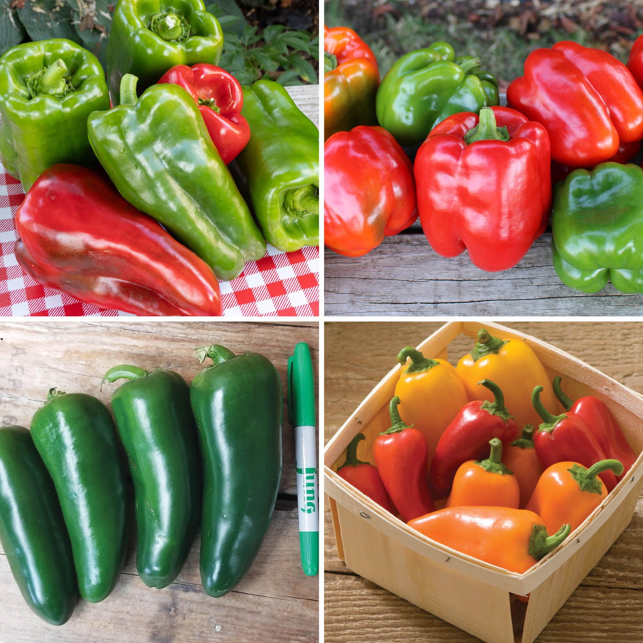 Pepper Plant Sampler