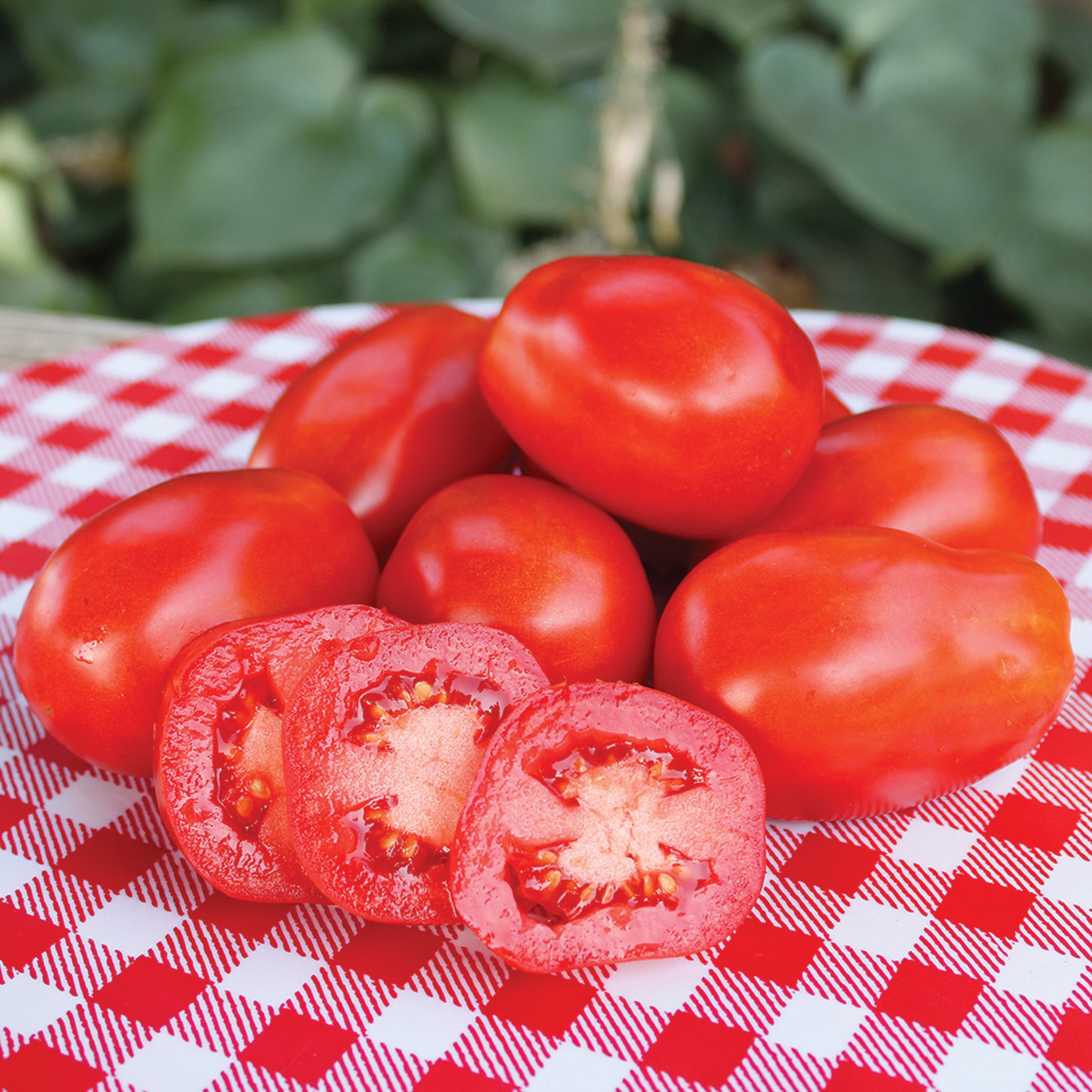 Tomato, Roma