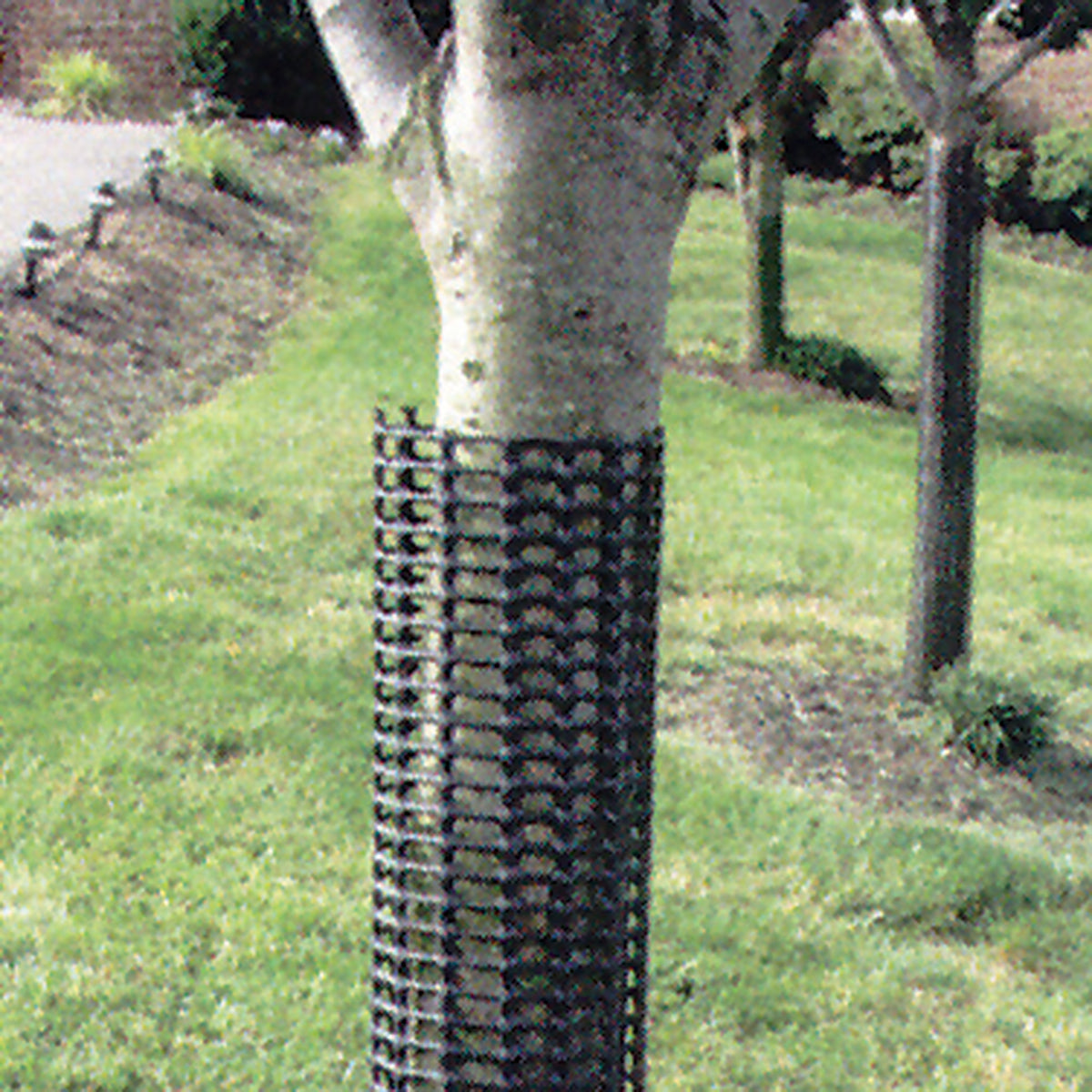 Tree Bark Protector, 4 x 36" tube