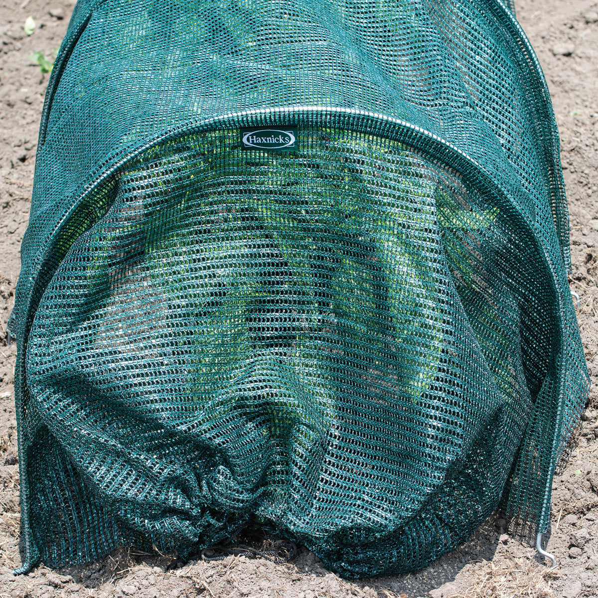 Haxnicks Giant Easy Net Tunnel