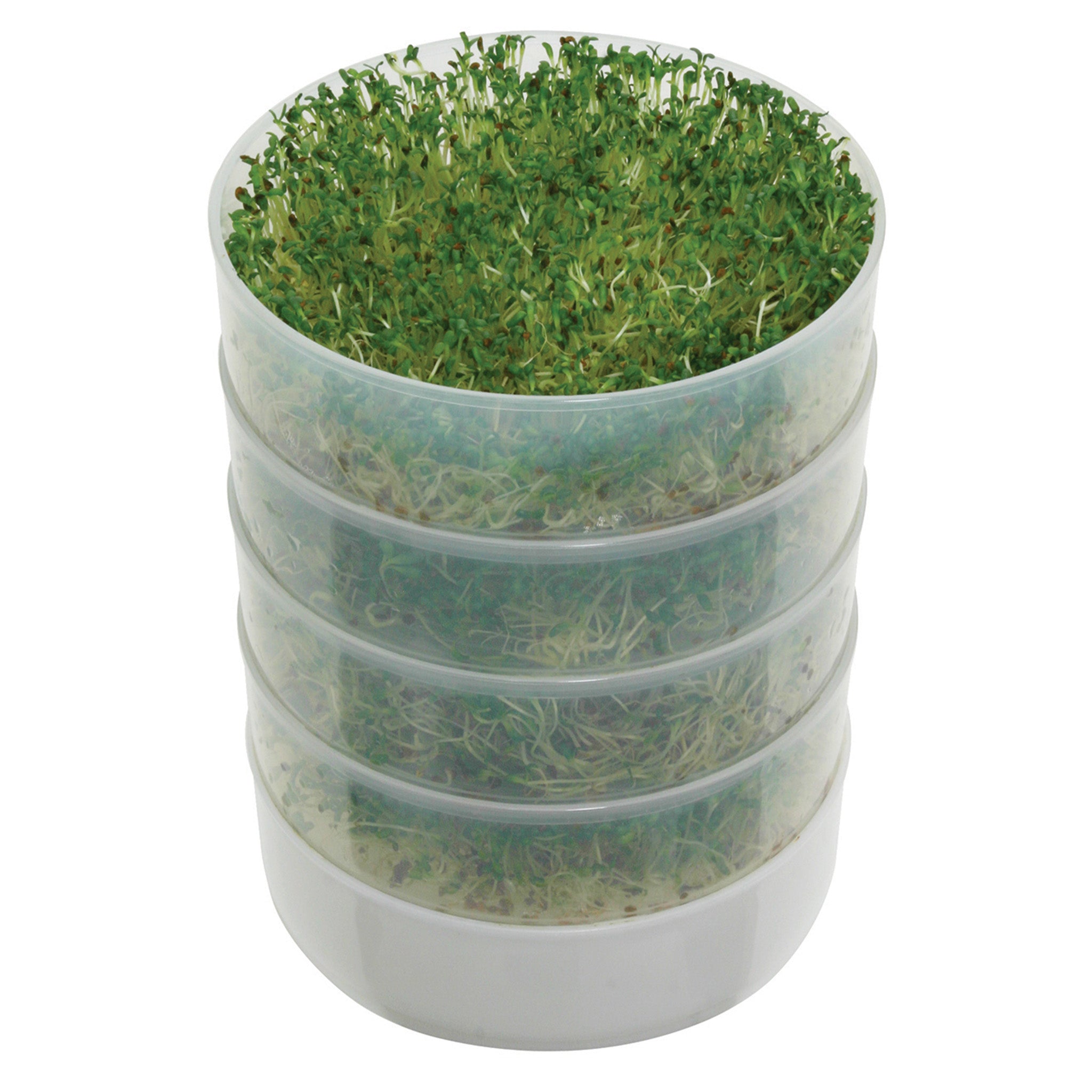 Kitchen Crop    Sprouter #Vkp1014