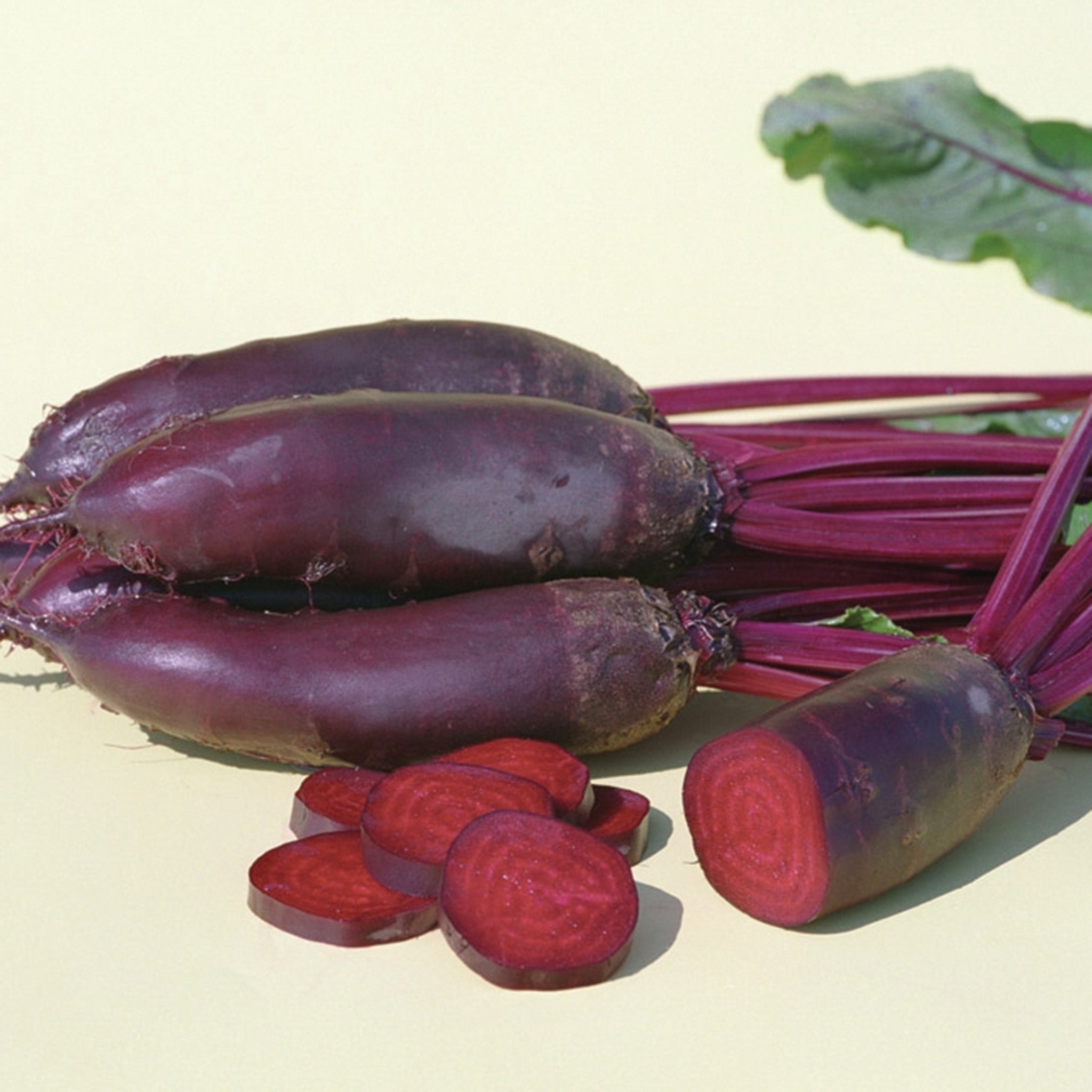 Beet, Taunus Hybrid