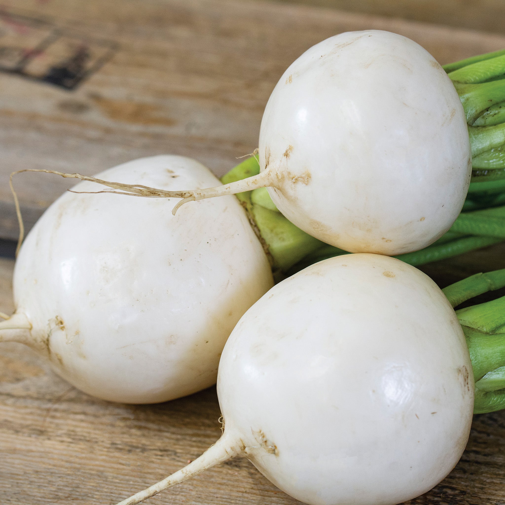Turnip, Tokyo Cross Hybrid