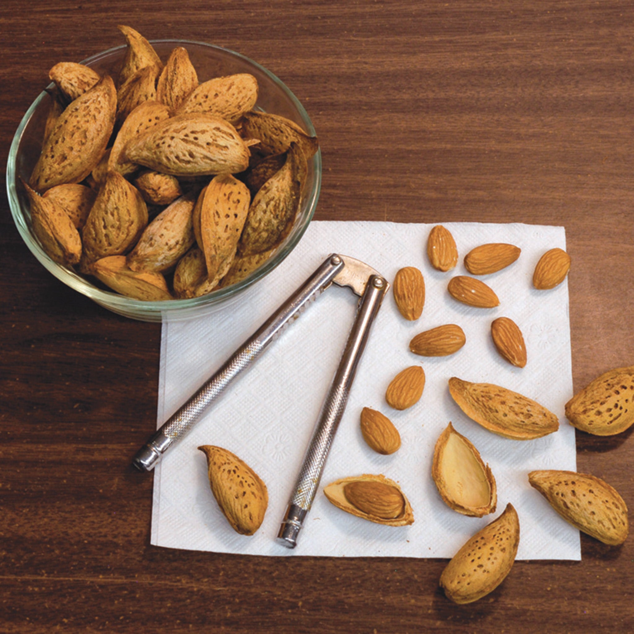 Almond, Ukrainian, Bounty™