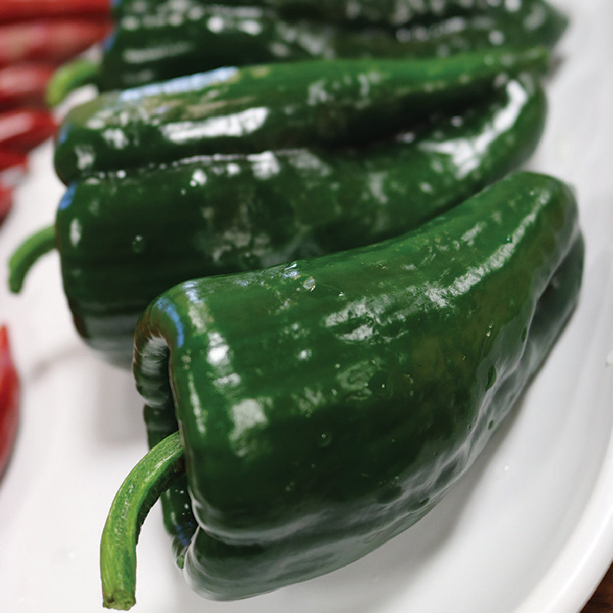 Pepper, Hot, Carranza Hybrid
