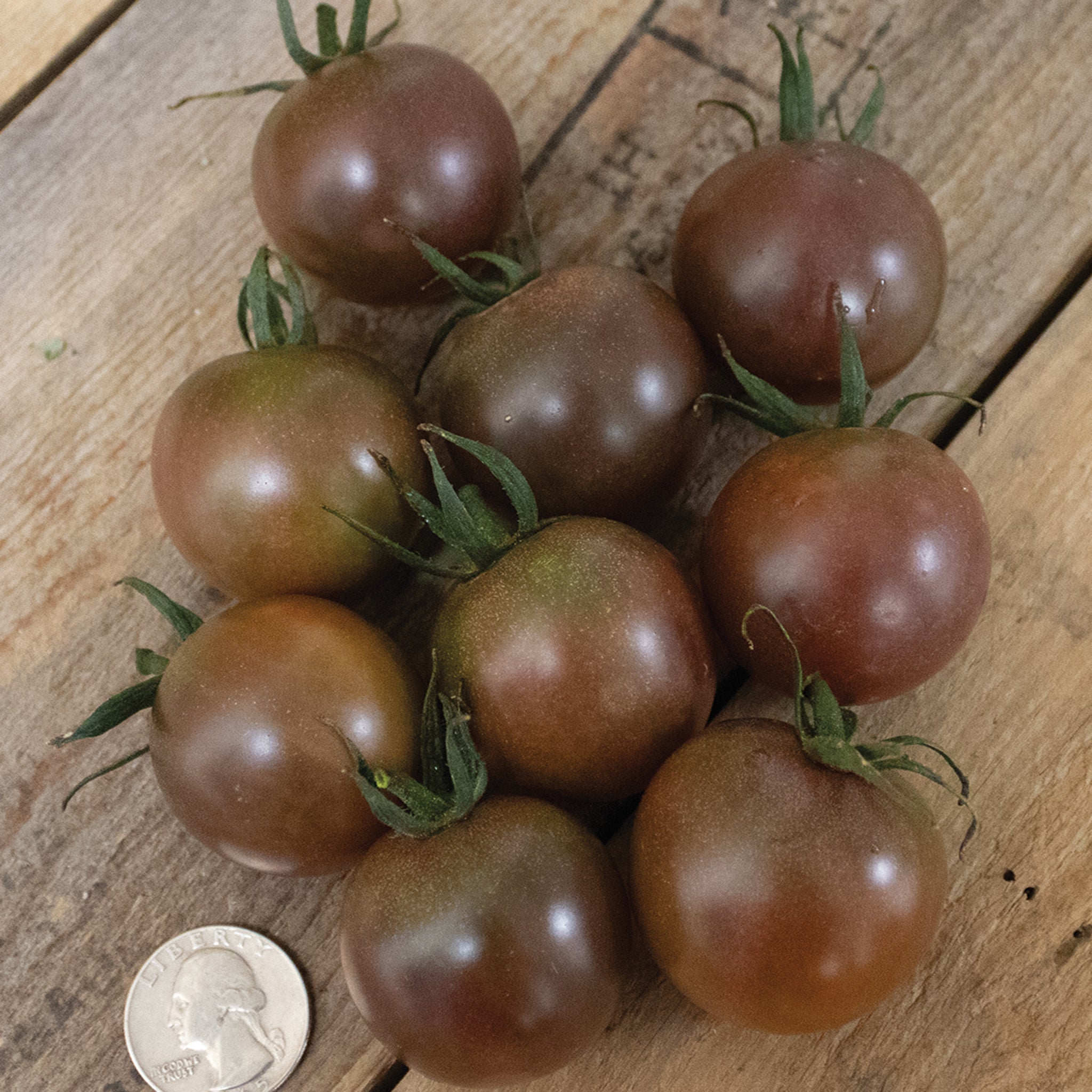 Tomato, Chocolate Cherry