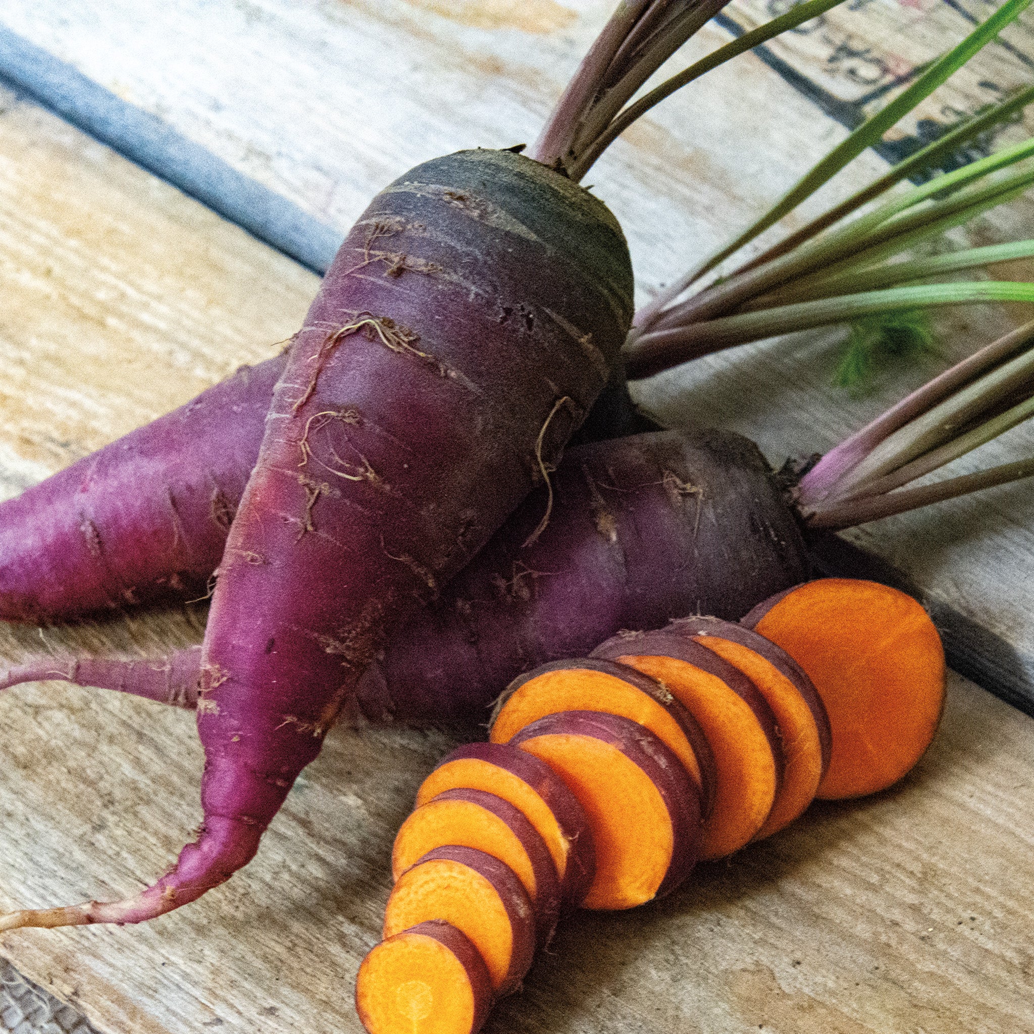 Carrot, Dragon