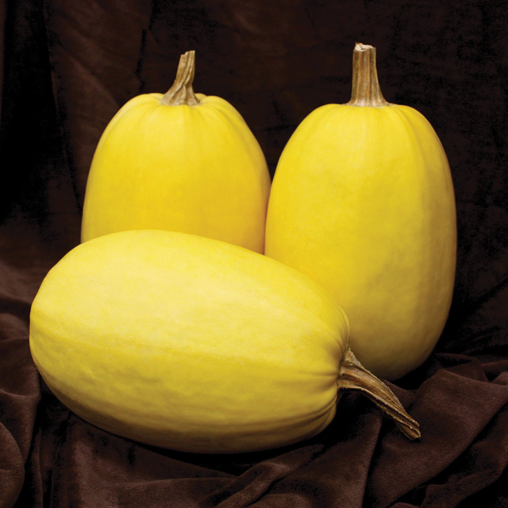 Squash, Winter, Primavera Spaghetti Hybrid