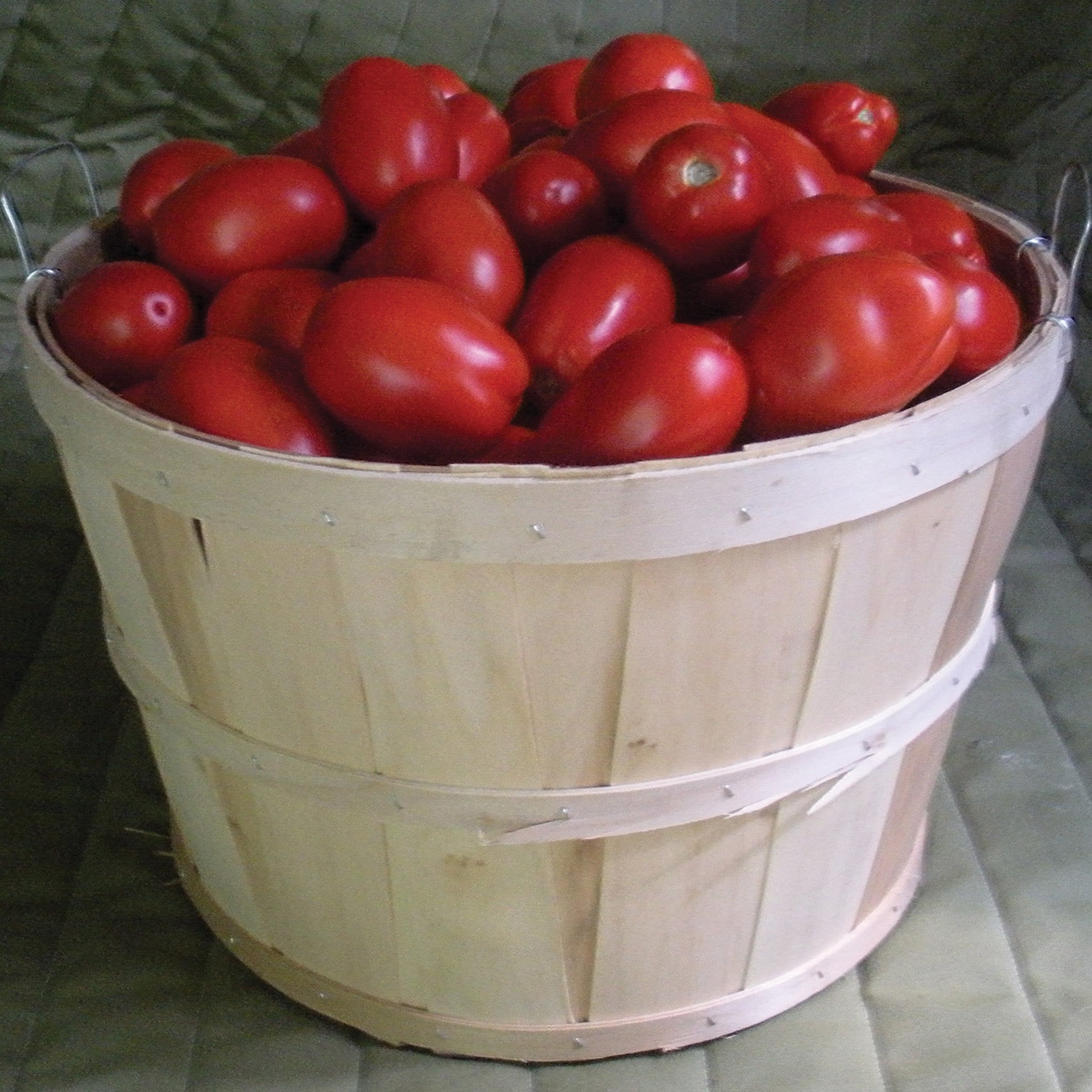 Tomato, Plum Regal Hybrid